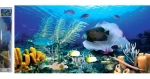 Norimpex Diamantové maľovanie Oceán