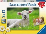 Ravensburger Hospodárske zvieratá