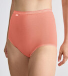 SLOGGI BASIC+ - Maxi nohavičky 3 ks - neviditeľné švy a mäkká bavlna Sloggi Multple Colours 21 46