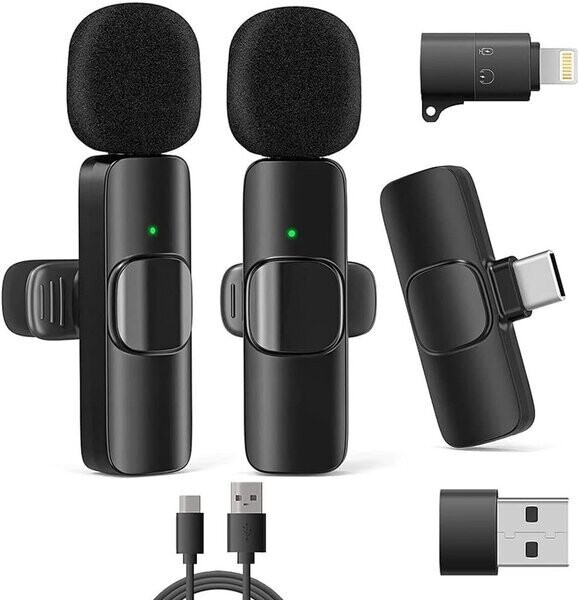 Realpower RealPower HS-1,Wireless Microphone,2 Mikrofone,1 Empfänger