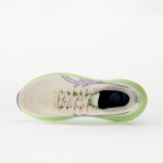 Tenisky Asics Gt-2000 13 Tr Nature Bathing/ Lime Green EUR 41.5
