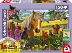 Schmidt Puzzle Stretnutie pri výbehu