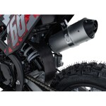 Mamido Detská benzínová motorka RamiGO IMMORTAL 110CC červená