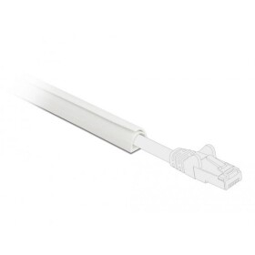 Delock Káblová lišta PVC biela (d x š x v) 1 m x 10 mm x 10 mm 1 ks 20717; 20717