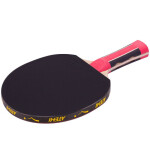 Raketa na stolný tenis Atemi 2000 stolní tenis
