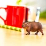 Safari Ltd. Safari Ltd. Figúrka - Hrošík libérijský