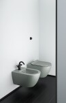 GSI - PURA závesná WC misa, Swirlflush, 36x55cm, agave dual-mat 881504