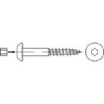 Polkruhové skrutky do dreva TOOLCRAFT 159345 100 mm Vnút. šesťhran oceľ,Zn.50 ks; 159345