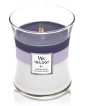 Woodwick Trilogy Evening Luxe 275g - sklo stredná / doba horenia: až 65h (5038581155814)