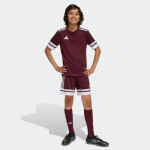Dres adidas Squadra 25 Jr JC8667 164 cm