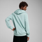 Puma Ess 2 Color Small No.1 Logo Hoodie TR M 684719 67 Muži M