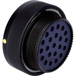 TE Connectivity TE DE Signal Standard CIRHSE06T36A22SCNF80M32V0 1 ks; CIRHSE06T36A22SCNF80M32V0