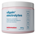 Vilgain Elektrolyty – melón 320 g