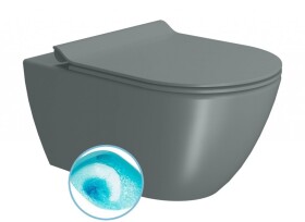 GSI - PURA závesná WC misa, Swirlflush, 36x55cm, agave dual-mat 881504