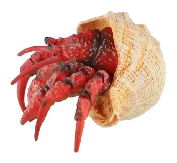 ZOOTED Figúrka Krab pustovník
