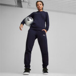 Puma Team Goal Casuals W 658604 06 Dámske nohavice S