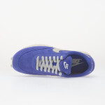 Tenisky Nike Dbreak Sde Sp Hyper Royal/ Photon Dust-Sail-Pale Ivory EUR 41