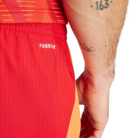 Šortky adidas Tiro 24 Competition Training M IK2245 S