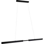 Paulmann Aptare 76989 LED závesné osvetlenie LED 33 W čierna; 76989