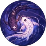 Jedlý papier koi kapry 19,5 cm - Pictu Hap - Pictu Hap