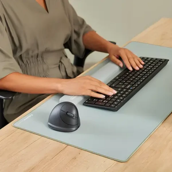 Fellowes Breyta Plus+ M čierna / Vertikálna bezdrôtová myš / pre pravákov / nabíjacie batérie (100143581)