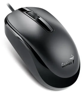 Genius DX-120 čierna / drôtová / 1200 dpi / USB-C (31010029401)