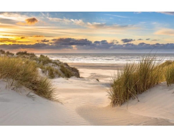 Obraz na plátne Piesočná cesta k moru, 118x78 cm%