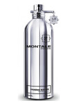 Montale Fougeres Marines Edp 100ml