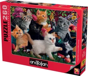 ANATOLIAN Puzzle Rozverné mačiatka