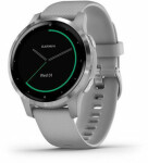 Garmin Vivoactive 4S Sivý (010-02172-02)