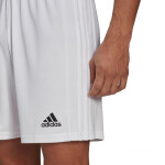 Pánske kraťasy Squadra 21 Short Adidas