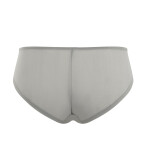 Dámske nohavičky Panache Clara Brief opal grey 7253 36