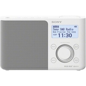 SONY XDR-S61D