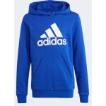 Adidas Big Logo Essentials Hoodie Jr IC6834 152 cm