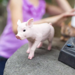 Safari Ltd. Safari Ltd. Sele