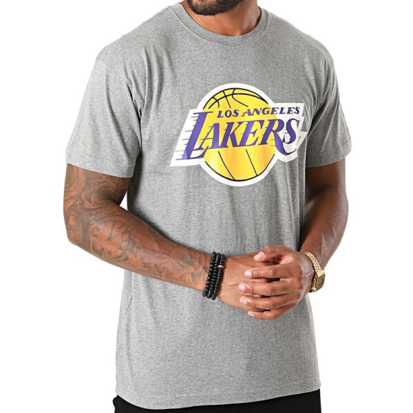 Mitchell Ness NBA Los Angeles Lakers Tričko logom tímu BMTRINTL1268-LALGYML