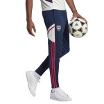 Pánske tréningové nohavice Arsenal London M HT4434 - Adidas S