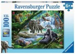 Ravensburger Rodina džungle