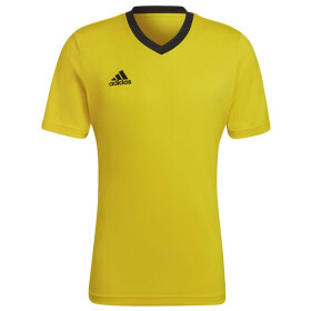 Pánske tričko Entrada 22 Jersey HI2122 Adidas