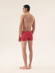 Pánske boxerky 2 Pack 42628 Star - HENDERSON vícebarevná XXL