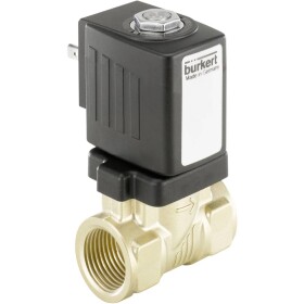 Bürkert magnetický ventil 246286 6213 230 V/AC G 1 1 ks; 246286