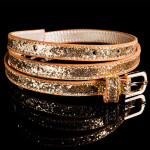 Trendy belt with glitter