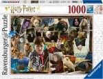 Ravensburger Harry Potter vs. Voldemort dielikov