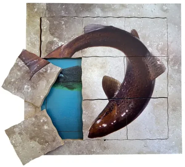 Just Jigsaws 643 Losos a jeho životný cyklus - drevené vrstvené puzzle