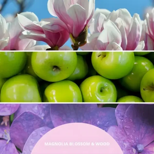 Millefiori Milano Magnolia Blossom Wood staroružová / Vonný difuzér / 100 ml (77MDMW)
