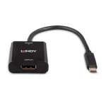 Lindy USB-C - DisplayPort čierna / Prevodník / 4K 144Hz / DisplayPort 1.4 / 21cm (43269)