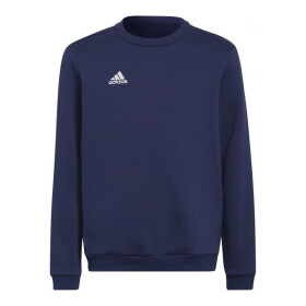 Entrada 22 Hoody Jr Adidas