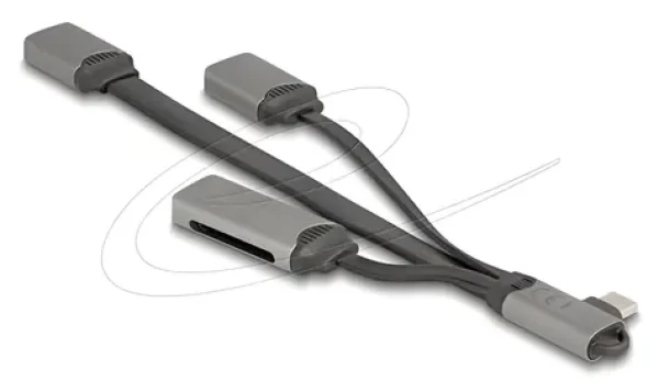 DeLock USB-C Hub / USB hub / USB 3.2 Gen 1 / 2× USB-A + čítačka SD a microSD (64303)