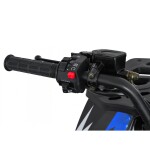 Mamido Detská benzínová štvorkolka RamiGO MONSTER 200CC čierno-modrá