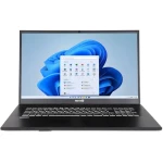 TERRA MOBILE 1716R sivá / Notebook / 17.3" FHD / Intel Core i5-1334U / 16GB / 500GB SSD / W11H (US1220855)